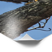 Impression Photo Recherche (Coin)