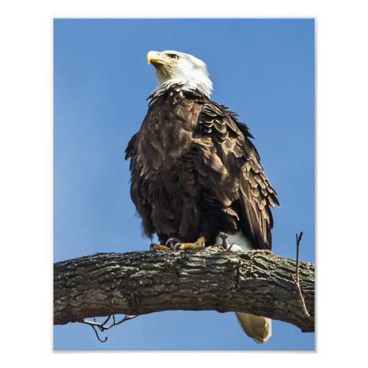 Impression Photo Recherche (Devant)