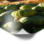 Impression Photo Récolte à la ferme (Coin)