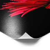 Impression Photo Red Burgundy Gerber Daisy (Coin)