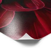Impression photo Red Dahlia (Coin)