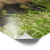 Impression Photo Red Fox Mère et jeune (Coin)