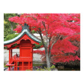 Impression Photo Red Japanese Maple Feuilles et Garden Shrine (Devant)
