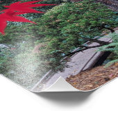 Impression Photo Red Maple Leaves in a Japanese Garden (Coin)