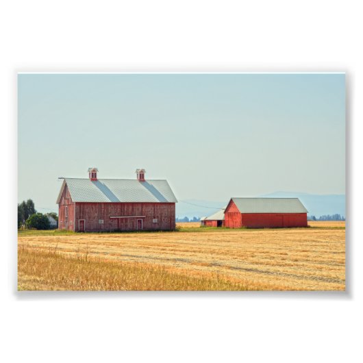 Impression Photo Red Montana Barns (Devant)