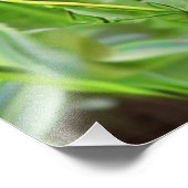 IMPRESSION PHOTO RED RUDBECKIA FLOWERS (Coin)