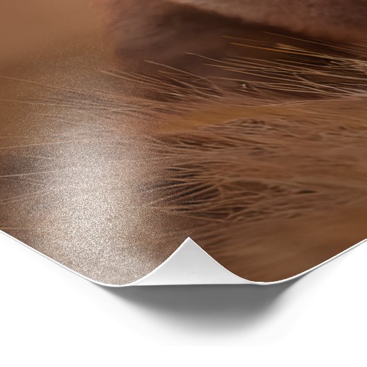 Impression Photo Redfox (Coin)