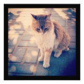 Impression Photo Réflexion (Devant)