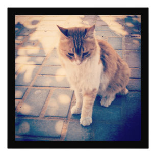 Impression Photo Réflexion