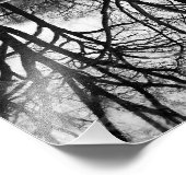 Impression Photo Réflexion des arbres d'hiver à Central Park (Coin)