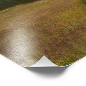 Impression Photo Réflexion du Mont Rainier et du lac (Coin)