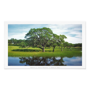Impression Photo "Réflexions d'un pays de merveilles en bois", Dé
