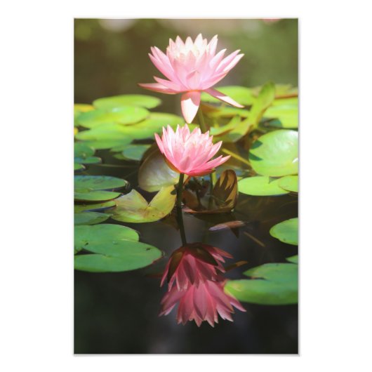 Impression Photo Réflexions glorieuses (Devant)