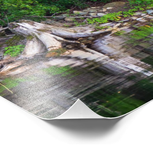 Impression Photo Réflexions vertes (Coin)