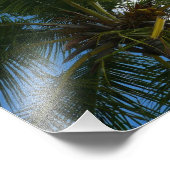 Impression Photo Regard sur le palmier à coco Nature tropicale (Coin)