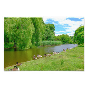 Impression Photo Regent's Park, Londres Imprimer