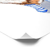 Impression Photo Renard en Chaussettes (Coin)