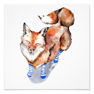 Impression Photo Renard en Chaussettes