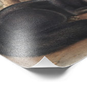 Impression Photo Renard noir ou argenté américain (Vulpes fulvus) (Coin)