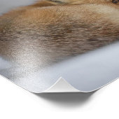 Impression Photo Renard Rouge En Neige (Coin)