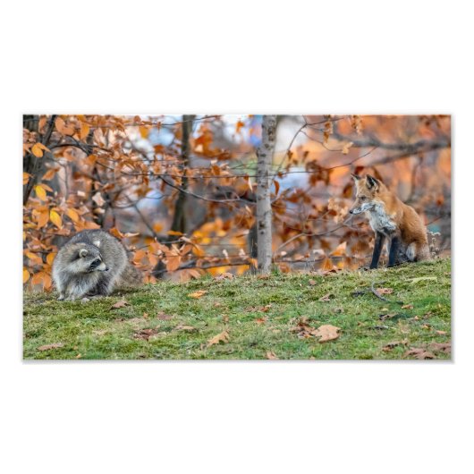 Impression Photo Rencontre inégale (Devant)