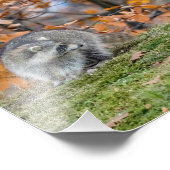 Impression Photo Rencontre inégale (Coin)