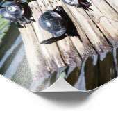 Impression Photo Repos de la tortue (Coin)