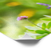 Impression Photo Repos des colibris (Coin)