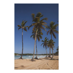 Impression Photo République dominicaine, région de Punta Cana, El
