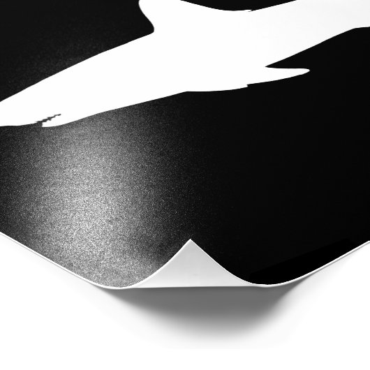 Impression Photo Requin nageant (Coin)