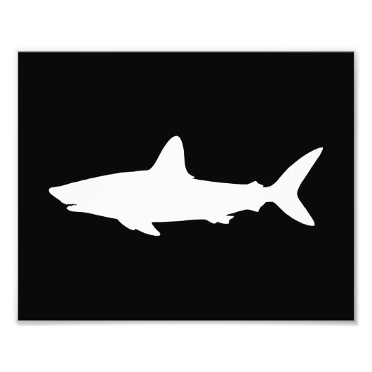 Impression Photo Requin qui Nage (Devant)