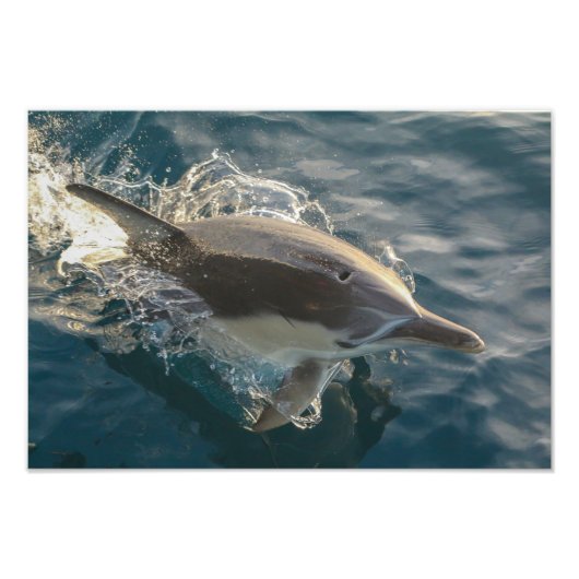 Impression Photo Résident (Devant)