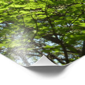 Impression Photo Ressource Feuille (Coin)