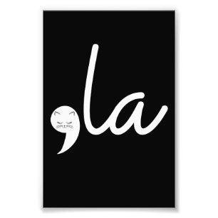 Impression Photo Retro Cat Comma La Kamala Harris Pour Président 24