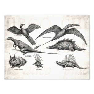 Impression Photo Rétros dinosaures d'illustration vintage de