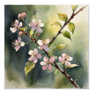 Impression Photo Rêves délicats : Aquarelle en fleurs de cerisier