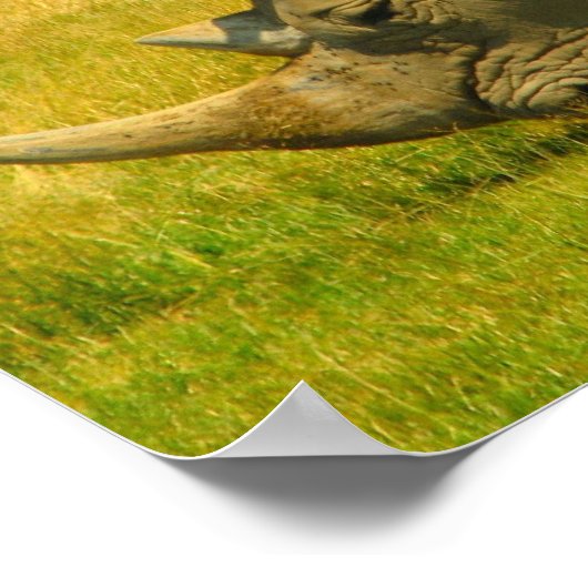 Impression photo Rhino (Coin)