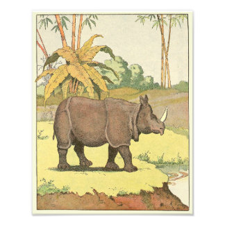 Impression Photo Rhinoceros au trou d'eau Illustré