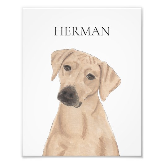 Impression Photo Rhodesian Ridgeback personnalisable (Devant)