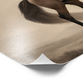 Impression Photo Rider of Legends - Horse Riding Hunk (Coin)