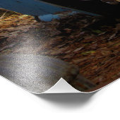 Impression Photo "Roadtripped" (Coin)