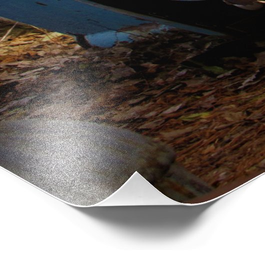 Impression Photo "Roadtripped" (Coin)