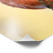 Impression Photo Robin à pompe (Coin)