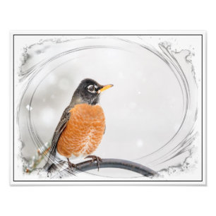 Impression Photo Robin en hiver