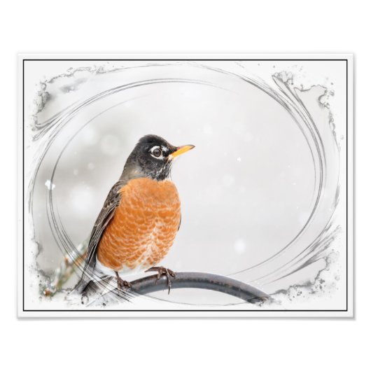 Impression Photo Robin en hiver (Devant)