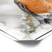 Impression Photo Robin en hiver (Coin)