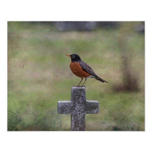 Impression Photo Robin sur une croix (Devant)
