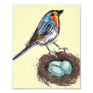Impression Photo Robin's Egg Nest art d'impression Robin Bird 8x10