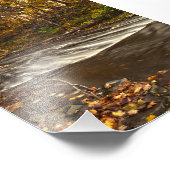 Impression Photo Rocky Fork Creek, automne, Gahanna, Ohio (Coin)