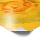 Impression Photo Romantique Rose Jaune gouttes d'eau (Coin)